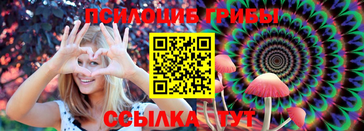Псилоцибиновые грибы ЛСД Владикавказ
