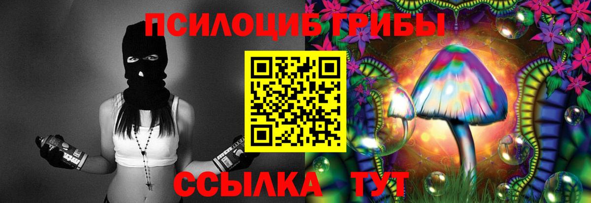 Галлюциногенные грибы Psilocybine cubensis  Вход с VPN  Владикавказ 